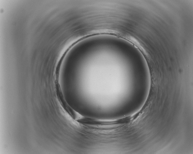 X0000073731140200608101923