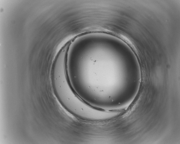 X0000073731141200608101923