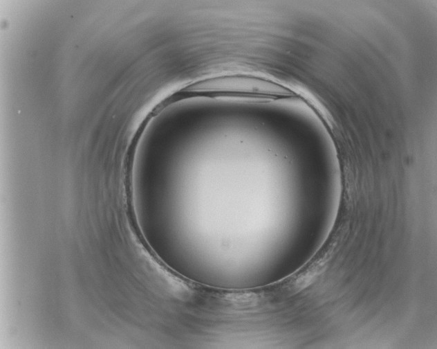 X0000073731142200608101923