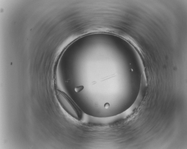 X0000073731143200608101923