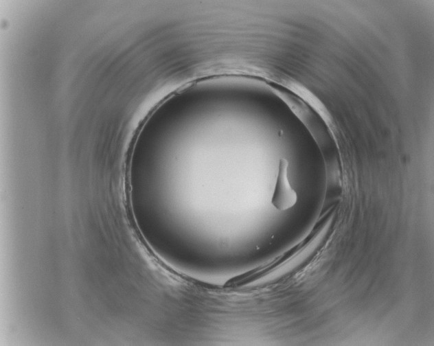 X0000073731144200608101923