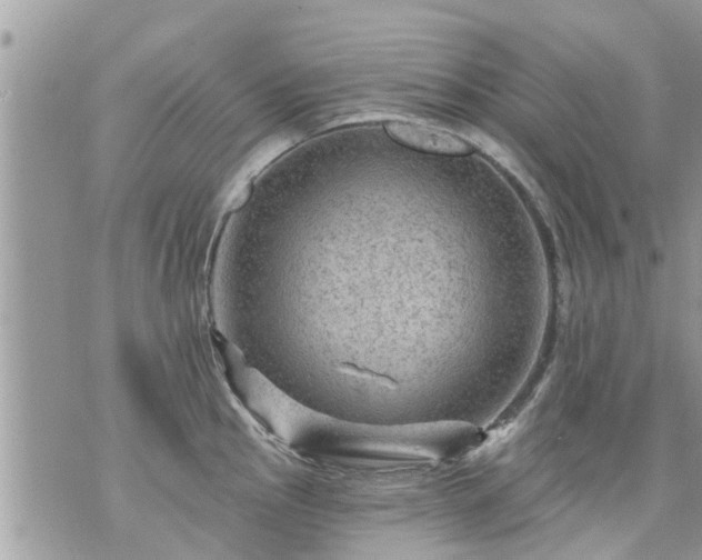 X0000073731145200608101923