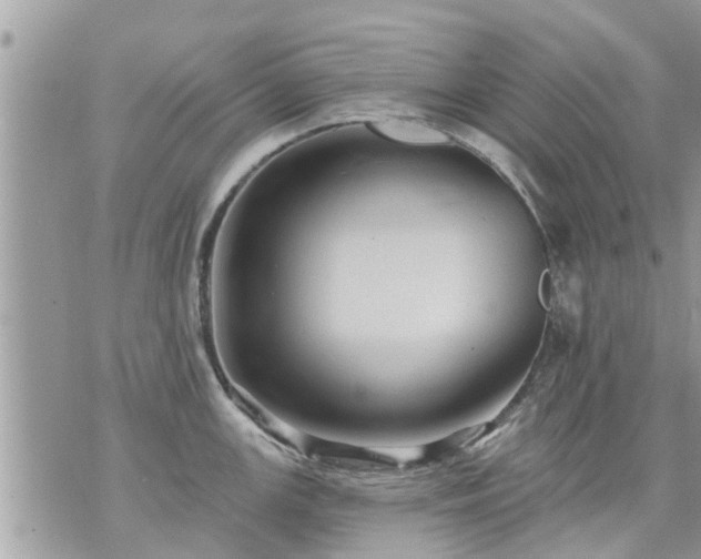 X0000073731147200608101923