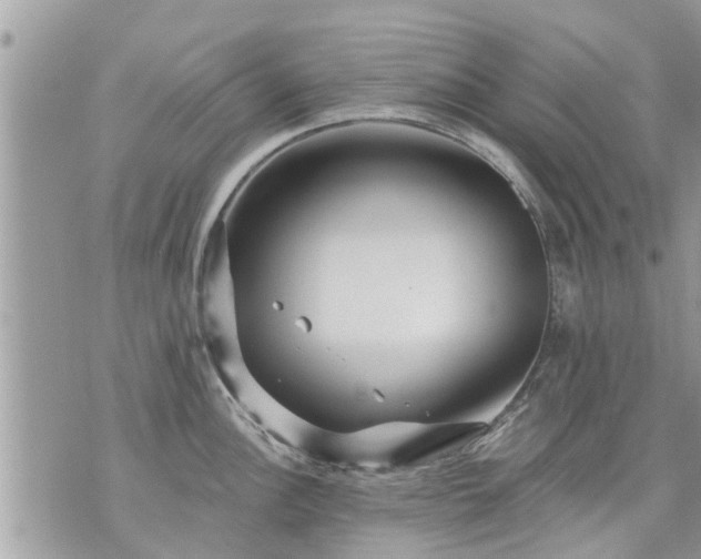 X0000073731148200608101923