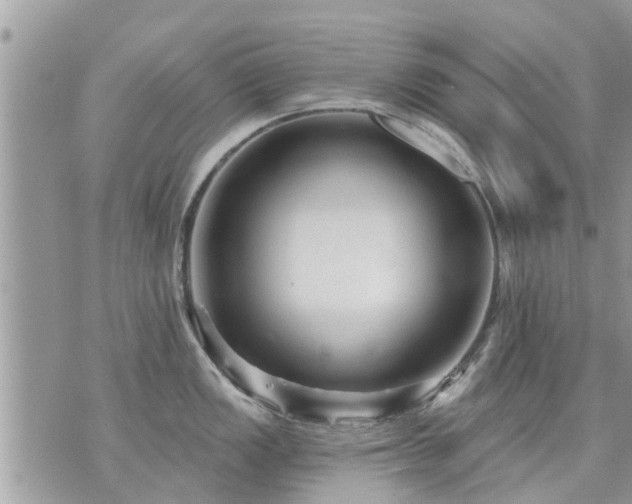 X0000073731149200608101923