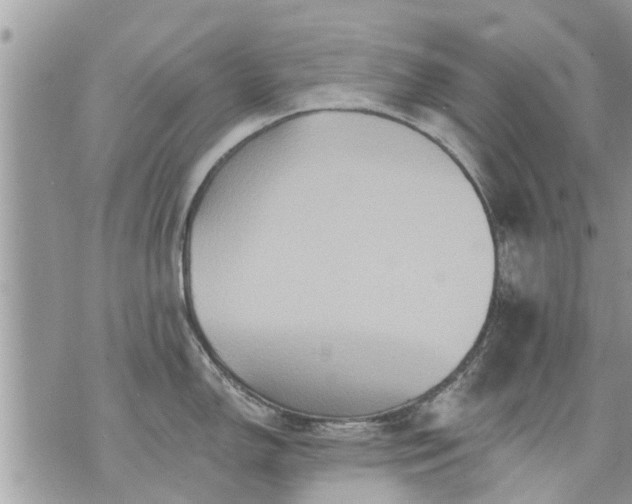 X0000073731150200608101923