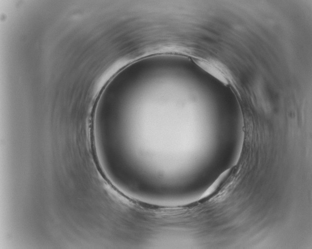 X0000073731151200608101923