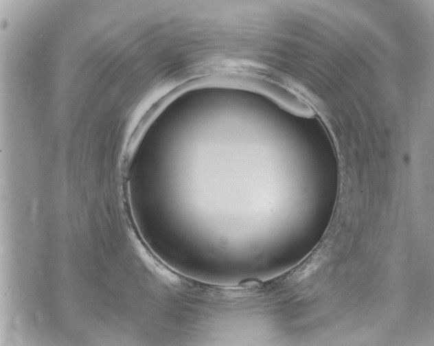 X0000073731152200608101923