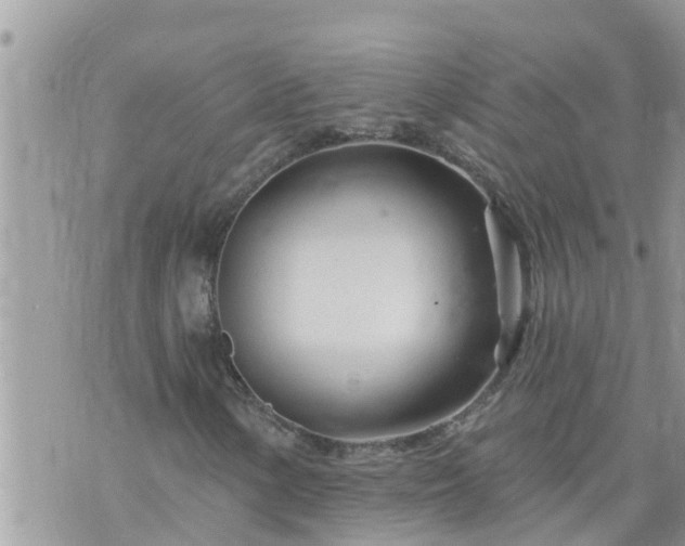 X0000073731154200608101922