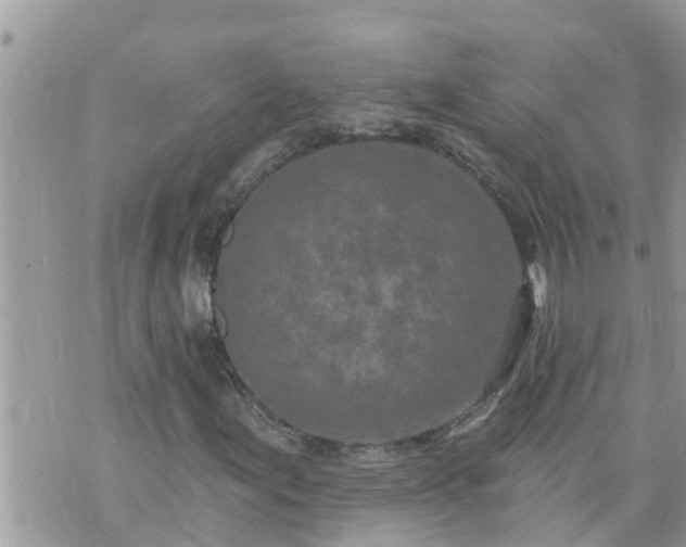 X0000073731155200608101922