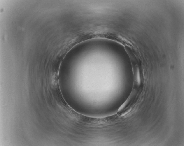 X0000073731156200608101922