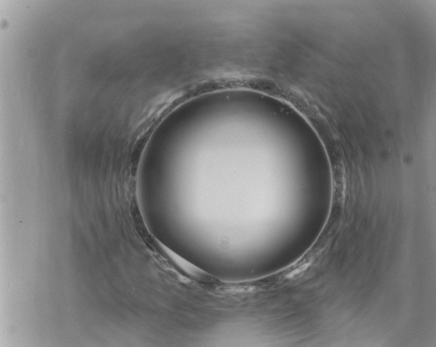 X0000073731157200608101922