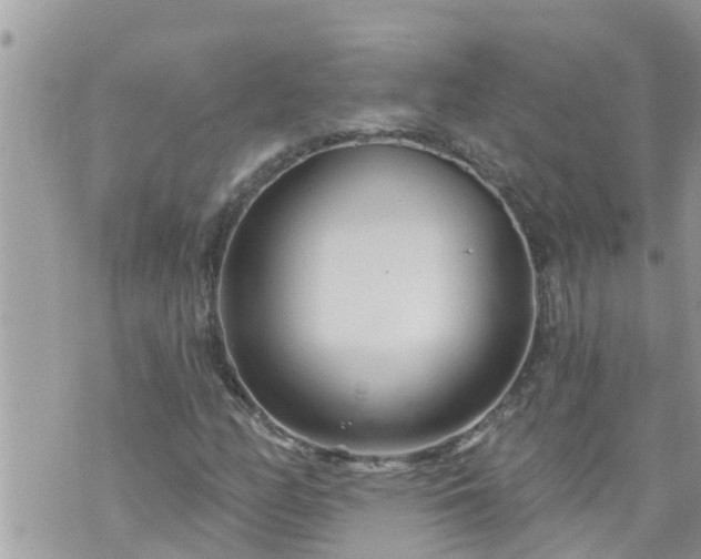 X0000073731158200608101922