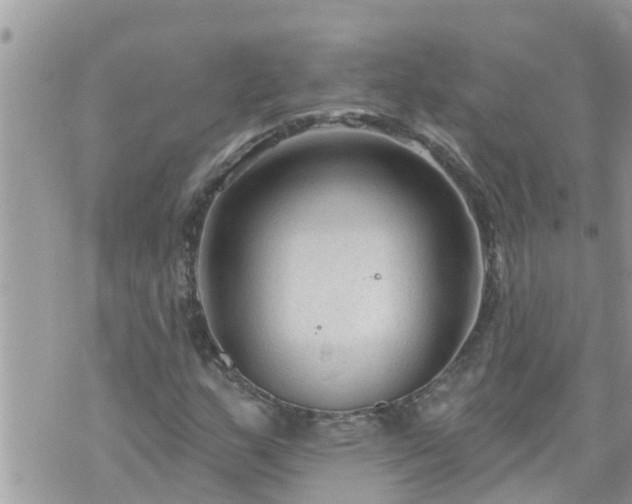 X0000073731159200608101922