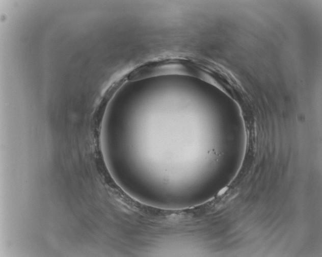 X0000073731160200608101922