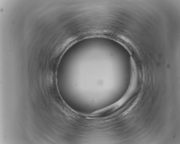 X0000073731161200608101922