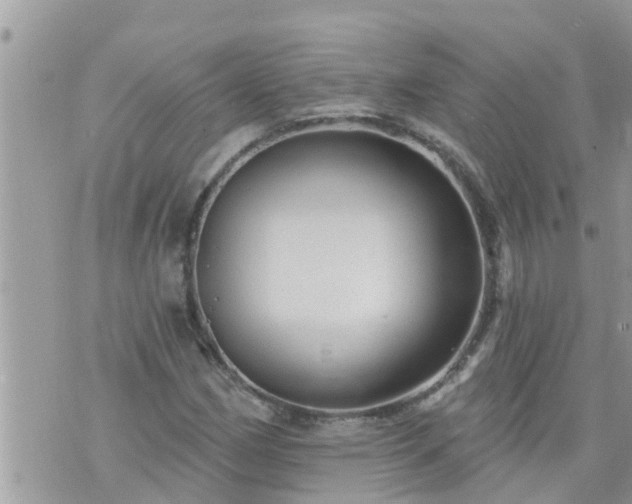 X0000073731162200608101922