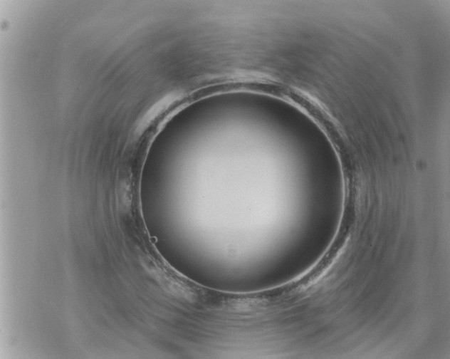 X0000073731163200608101922