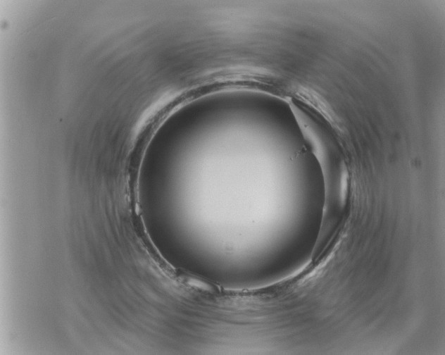 X0000073731164200608101922