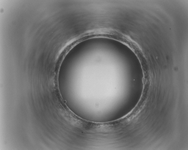 X0000073731166200608101922