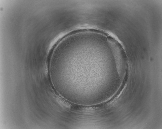 X0000073731167200608101922