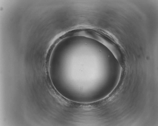 X0000073731168200608101922