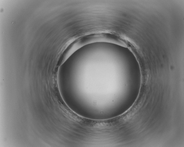 X0000073731169200608101922