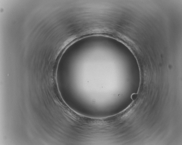 X0000073731170200608101922