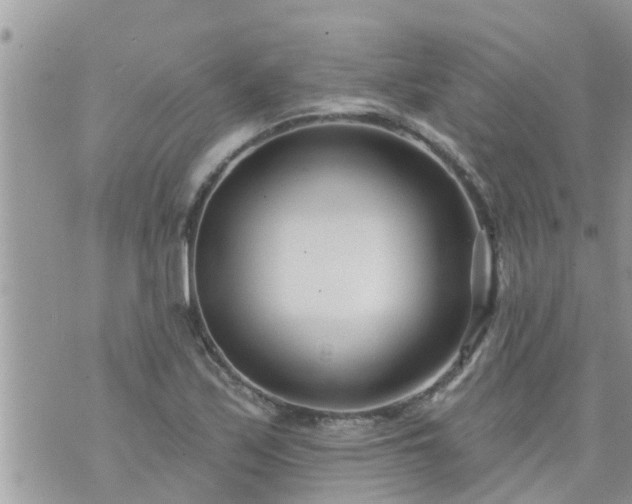 X0000073731171200608101922