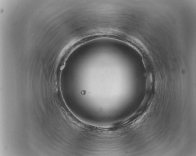 X0000073731172200608101922