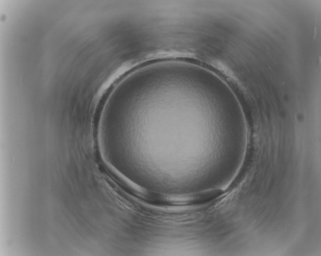 X0000073731173200608101922