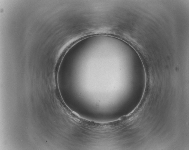 X0000073731174200608101922