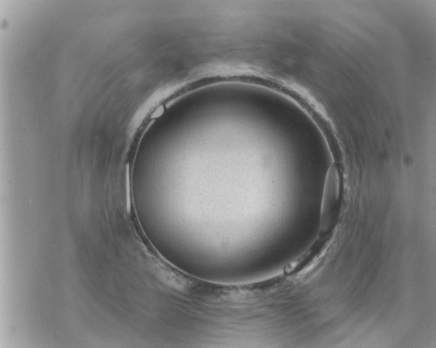 X0000073731175200608101922