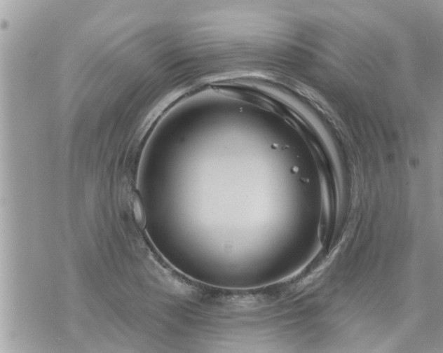 X0000073731177200608101922