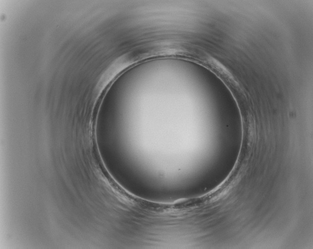 X0000073731178200608101922