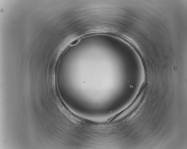 X0000073731179200608101922