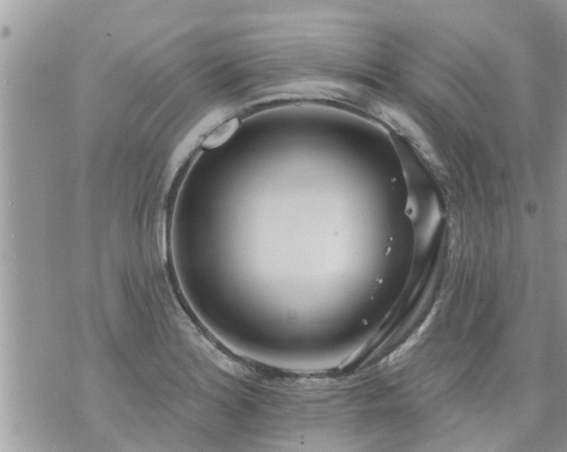 X0000073731180200608101922