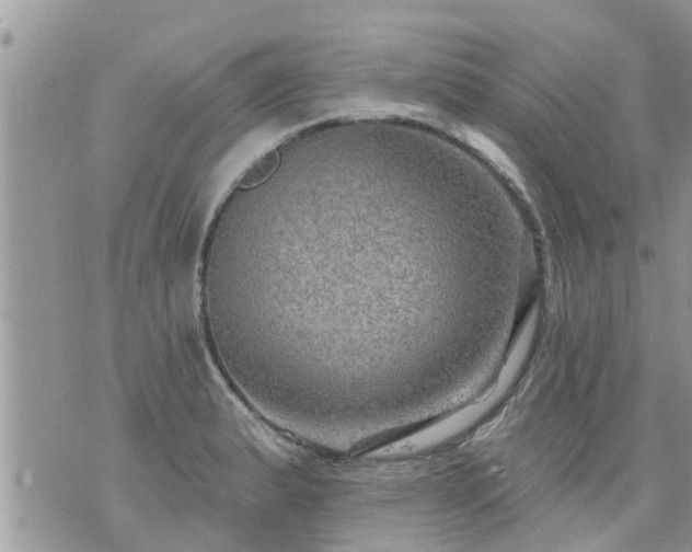 X0000073731183200608101922