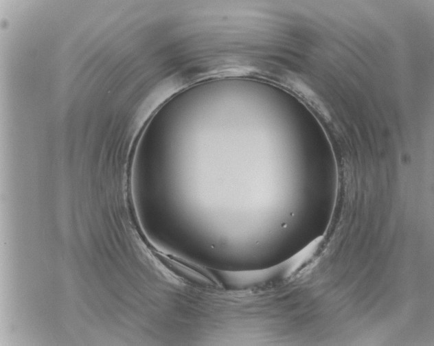 X0000073731186200608101922