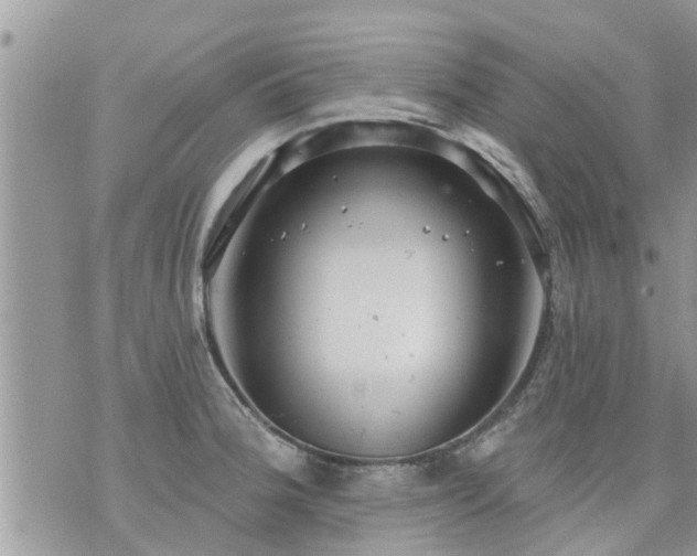 X0000073731188200608101922