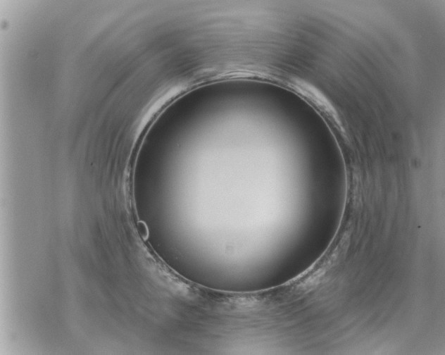 X0000073731190200608101922