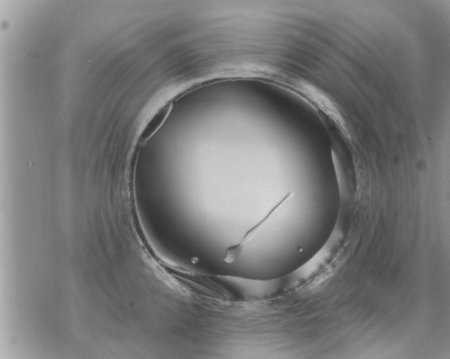 X0000073731192200608101922