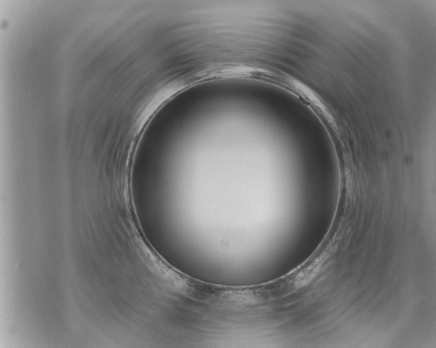 X0000073731194200608101922