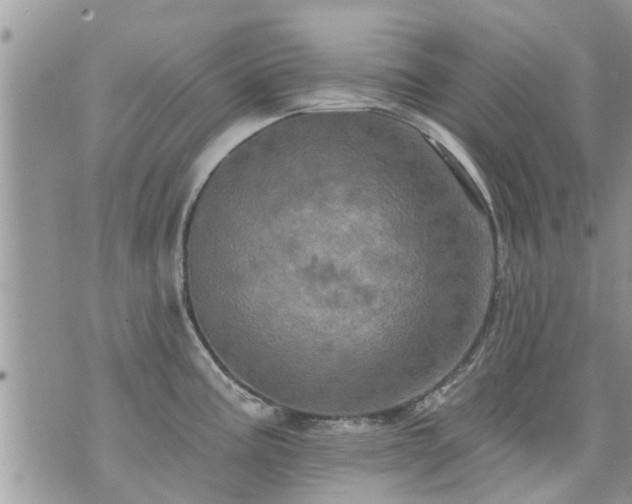 X0000073731195200608101922