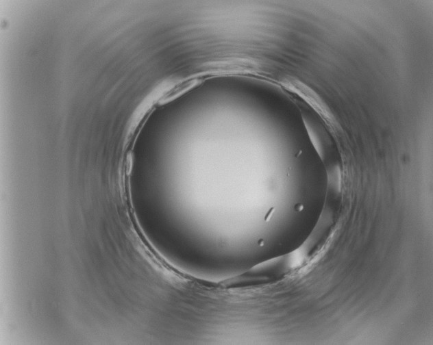 X0000073731196200608101922