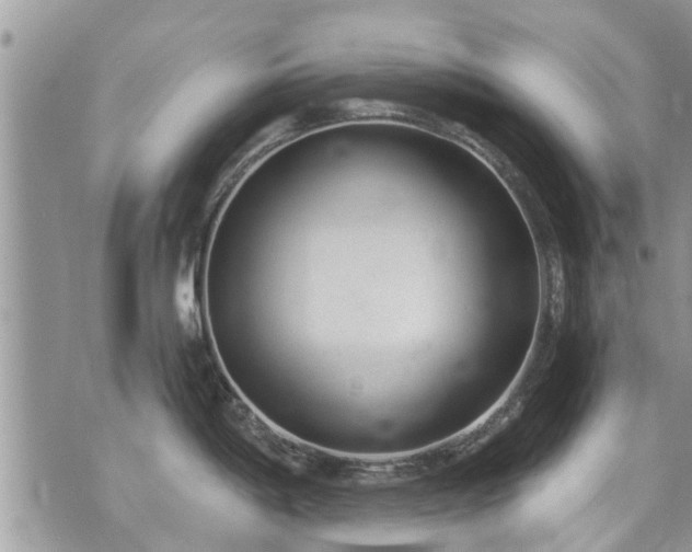 X0000073731198200608101922