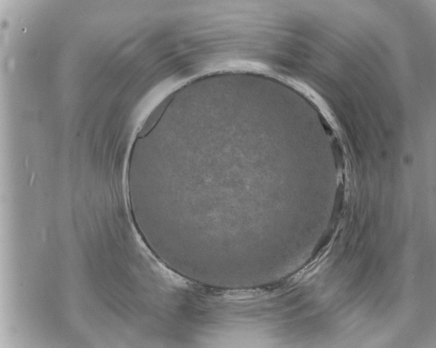 X0000073731199200608101922