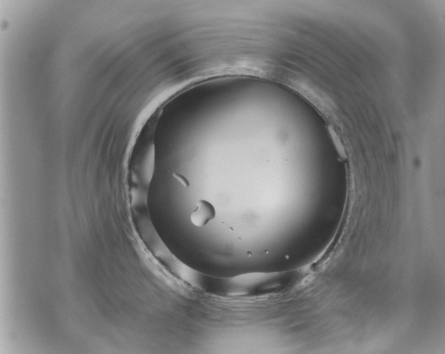 X0000073731200200608101922