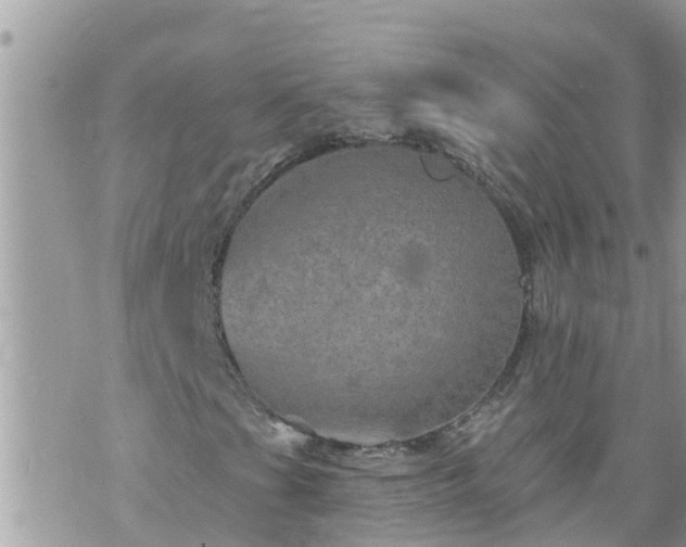 X0000073731201200608101921