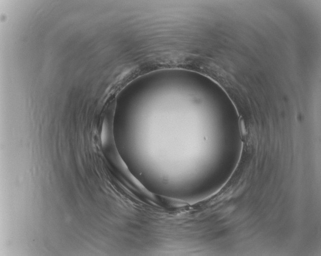 X0000073731202200608101921